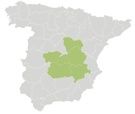 Delegación Castilla-La Mancha